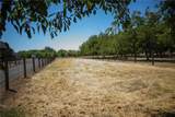 2787 Grape Way - Photo 10