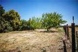 2787 Grape Way - Photo 45