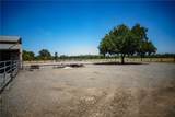 2787 Grape Way - Photo 58