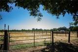 2787 Grape Way - Photo 9