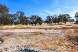 0.62 AC Wisteria Way - Photo 10