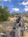 0 Pine Hollow Rd - Photo 5