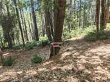 6296 Merry Way - Photo 7