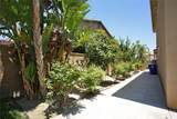 5621 Avocet Drive - Photo 7
