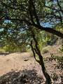 0 Subdivision 1033, Lot 19 - Photo 4