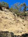 0 Subdivision 1033, Lot 19 - Photo 6
