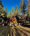 39654 Flicker Road - Photo 31