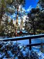 39654 Flicker Road - Photo 32