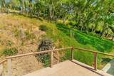 411 Hecker Pass Road - Photo 60