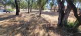 5277 Farfalla Circle - Photo 5