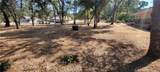 5277 Farfalla Circle - Photo 6