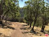524 Moonrise - Photo 12