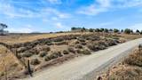 0 Lindenberger - Photo 6