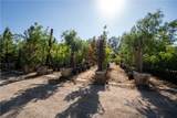13874 Ranchero Road - Photo 12