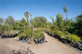 13874 Ranchero Road - Photo 13