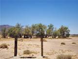 31312 Fort Cady Road - Photo 12