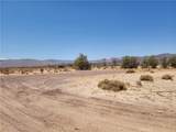 31312 Fort Cady Road - Photo 4