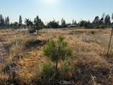13945 Cascade Drive - Photo 5