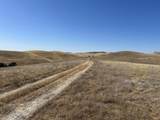 0 Pine Avenue - Photo 8