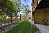 3138 Little Mountain Drive - Photo 19