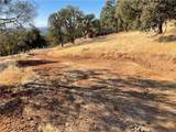 7607 White Oak Lane - Photo 21