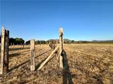 3140 Big Valley Road - Photo 13