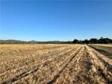 3140 Big Valley Road - Photo 6