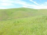 0 Douglas Rd. (Lot 42) - Photo 17