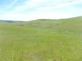 0 Douglas Rd. (Lot 42) - Photo 18