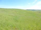 0 Douglas Rd. (Lot 42) - Photo 19