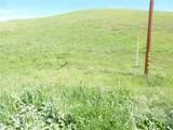 0 Douglas Rd. (Lot 42) - Photo 21