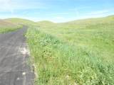 0 Douglas Rd. (Lot 42) - Photo 23