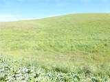 0 Douglas Rd. (Lot 42) - Photo 25