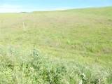 0 Douglas Rd. (Lot 42) - Photo 27