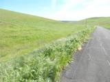 0 Douglas Rd. (Lot 42) - Photo 28