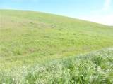 0 Douglas Rd. (Lot 42) - Photo 29