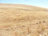 0 Douglas Rd. (Lot 42) - Photo 31