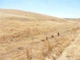 0 Douglas Rd. (Lot 42) - Photo 32