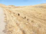 0 Douglas Rd. (Lot 42) - Photo 34