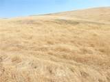 0 Douglas Rd. (Lot 42) - Photo 35
