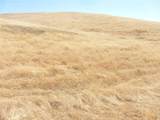 0 Douglas Rd. (Lot 42) - Photo 36