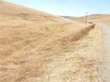 0 Douglas Rd. (Lot 42) - Photo 37