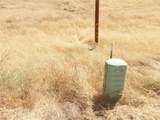 0 Douglas Rd. (Lot 42) - Photo 38