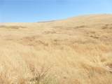 0 Douglas Rd. (Lot 42) - Photo 41