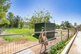 1023 Olive Avenue - Photo 25