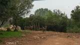 10508 Edgewater Drive - Photo 7