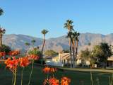 28944 Desert Princess Drive - Photo 19