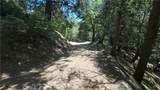 22494 Mojave River Road - Photo 5
