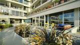 2525 Ocean Boulevard - Photo 51