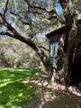34747 Ortega Highway - Photo 41